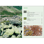 MOUSSES ET LICHENS. 290 ESPECES FACILES A IDENTIFIER_1