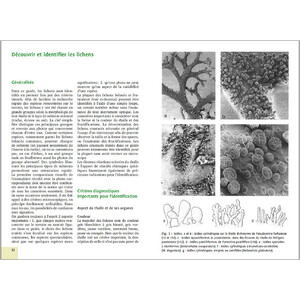 MOUSSES ET LICHENS. 290 ESPECES FACILES A IDENTIFIER 3