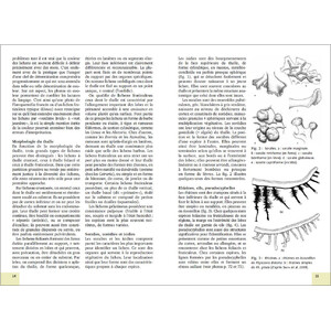 MOUSSES ET LICHENS. 290 ESPECES FACILES A IDENTIFIER 4