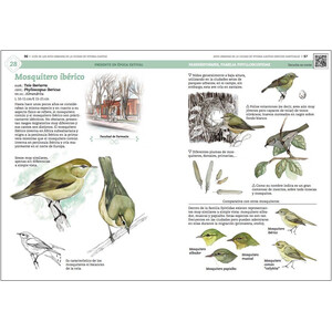 GUÍA DE AVES URBANAS DE LA CIUDAD DE VITORIA-GASTEIZ 4