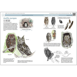 GUÍA DE AVES URBANAS DE LA CIUDAD DE VITORIA-GASTEIZ 6