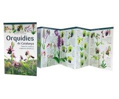 ORQUÍDIES DE CATALUNYA. TOTES LES NOSTRES ESPÈCIES SILVESTRES. MINIGUIA DE CAMP 2