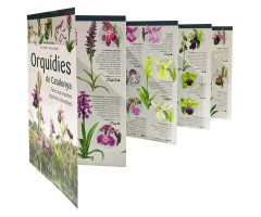 ORQUÍDIES DE CATALUNYA. TOTES LES NOSTRES ESPÈCIES SILVESTRES. MINIGUIA DE CAMP 4