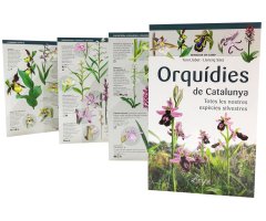 ORQUÍDIES DE CATALUNYA. TOTES LES NOSTRES ESPÈCIES SILVESTRES. MINIGUIA DE CAMP 5
