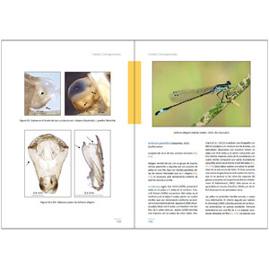 LARVAS DE LIBÉLULAS EN LA PENÍNSULA IBÉRICA_1