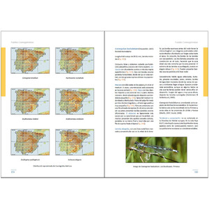 LARVAS DE LIBÉLULAS EN LA PENÍNSULA IBÉRICA 3