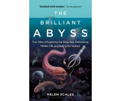 THE BRILLANT ABYSS