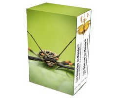 LES INSECTES DU MONDE. BIODIVERSITÉ, CLASSIFICATION, CLÉS DE DETÉRMINATION DES FAMILLES