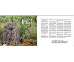 EL FOTÓGRAFO DE FAUNA 3