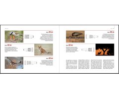 EL FOTÓGRAFO DE FAUNA 4