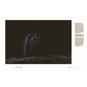 THE BLACK LEOPARD: MY QUEST TO PHOTOGRAPH ONE OF AFRICA'S MOST ELUSIVE BIG CATS 3