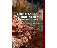 COQUILLAGES NUDIBRANCHES & AUTRES MOLLUSQUES MARINS