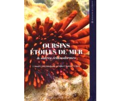 OURSINS, ÉTOILES DE MER & AUTRES ÉCHINODERMES