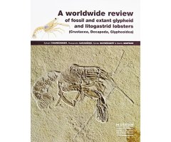 A WORLDWIDE REVIEW OF FOSSIL AND EXTANT GLYPHEID AND LITOGASTRID LOBSTERS (CRUSTACEA, DECAPODA, GLYPHEOIDEA)