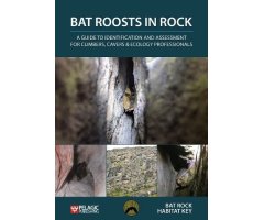 BAT ROOSTS IN ROCK