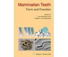 MAMMALIAN TEETH. FORM & FUNCTION