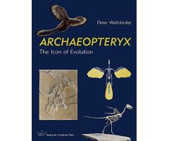 ARCHAEOPTERYX. THE ICON OF EVOLUTION 