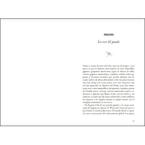 LA GRAN ORQUESTA ANIMAL_1