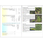 GRASSES: A GUIDE TO IDENTIFICATION USING VEGETATIVE CHARACTERS_1