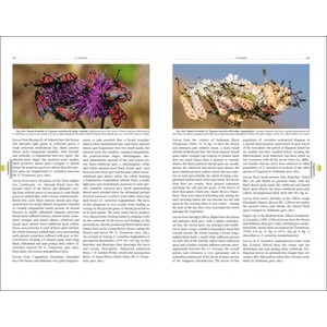 NATURAL HISTORY OF BURNET MOTHS (ZYGAENA FABRICIUS, 1775) (LEPIDOPTERA: ZYGAENIDAE) PART 3 (2-VOLUME SET)_1