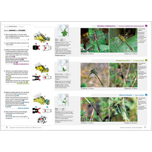DRAGONFLIES AND DAMSELFLIES OF BRITAIN AND WESTERN EUROPE. A PHOTOGRAPHIC GUIDE 5