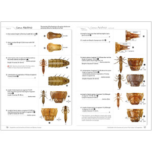 DRAGONFLIES AND DAMSELFLIES OF BRITAIN AND WESTERN EUROPE. A PHOTOGRAPHIC GUIDE 6