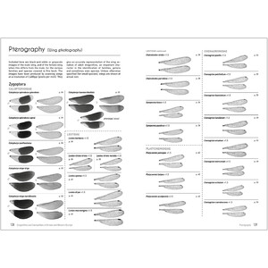 DRAGONFLIES AND DAMSELFLIES OF BRITAIN AND WESTERN EUROPE. A PHOTOGRAPHIC GUIDE 7