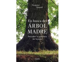 EN BUSCA DEL ÁRBOL MADRE