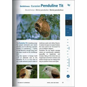 THE BIRDS OF LUXEMBOURG 3