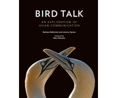 BIRD TALK. AN EXPLORATION OF AVIAN COMMUNICATION