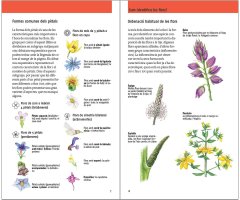FLORS. 450 ESPÈCIES D'EUROPA 4