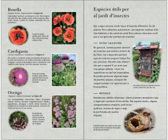 FLORS. 450 ESPÈCIES D'EUROPA 6