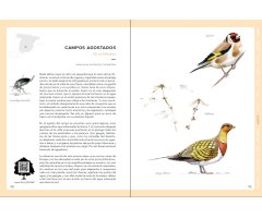 EL SONIDO DE LA NATURALEZA. CALENDARIO SONORO DE LOS PAISAJES DE ESPAÑA 5