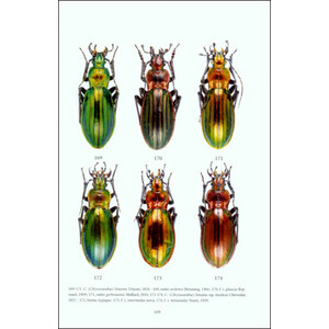 FAUNE DES CARABUS DE LA PÉNINSULE IBÉRIQUE_1