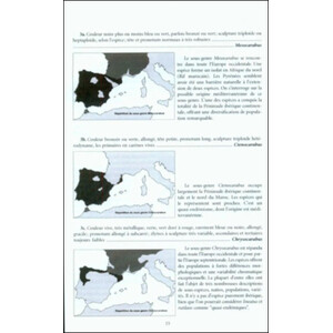 FAUNE DES CARABUS DE LA PÉNINSULE IBÉRIQUE 3
