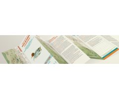 PARQUE NACIONAL DE LOS PICOS DE EUROPA. COVADONGA. CAMINOS, FAUNA Y FLORA. GUÍAS DE CONSULTA RÁPIDA 2