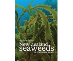 NEW ZEALAND SEAWEEDS. AN ILLUSTRATED GUIDE