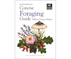 CONCISE FORAGING GUIDE