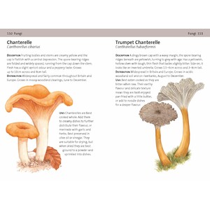 CONCISE FORAGING GUIDE_1