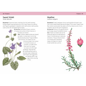 CONCISE FORAGING GUIDE 3