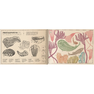 PAISAJES PERDIDOS DE LA TIERRA 4