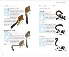 MAMMALS OF MADAGASCAR 2