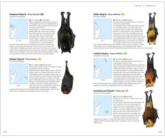 MAMMALS OF MADAGASCAR 3