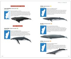 MAMMALS OF MADAGASCAR 4