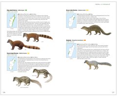 MAMMALS OF MADAGASCAR 5