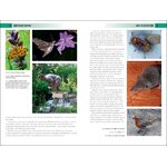 BRITISH & IRISH MOTHS. A PHOTOGRAPHIC GUIDE_1