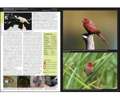 ESTRILDID FINCHES OF THE WORLD. A PHOTOGRAPHIC, DESCRIPTIVE AND FACTUAL GUIDE TO ALL 34 GENERA OF ESTRILDIDAE INCLUDING VAXBILLS. SEEDCRACKERS, NIGRIT 2
