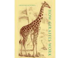 HOW GIRAFFES WORK