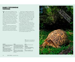TURTLES OF THE WORLD. A GUIDE TO EVERY FAMILY 5