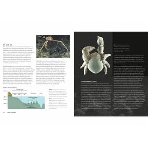 CRABS. A GLOBAL NATURAL HISTORY 3